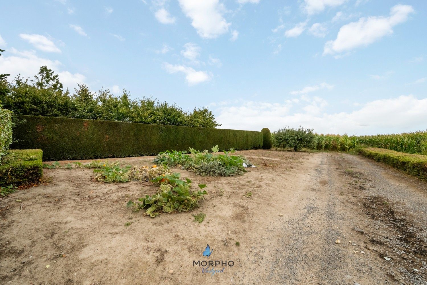 Landelijke villa te huur in Zwevezele met 2 slpks, tuin, privacy en prachtig uitzicht foto 21