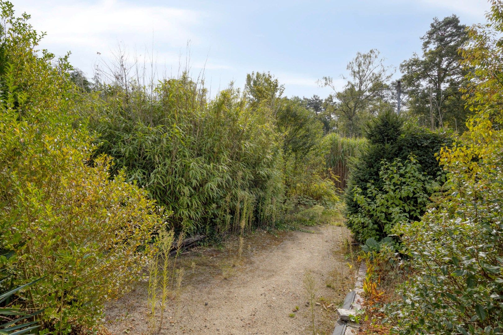 Gunstig gelegen te renoveren woning op mooi perceel van 16a07ca ! foto 27