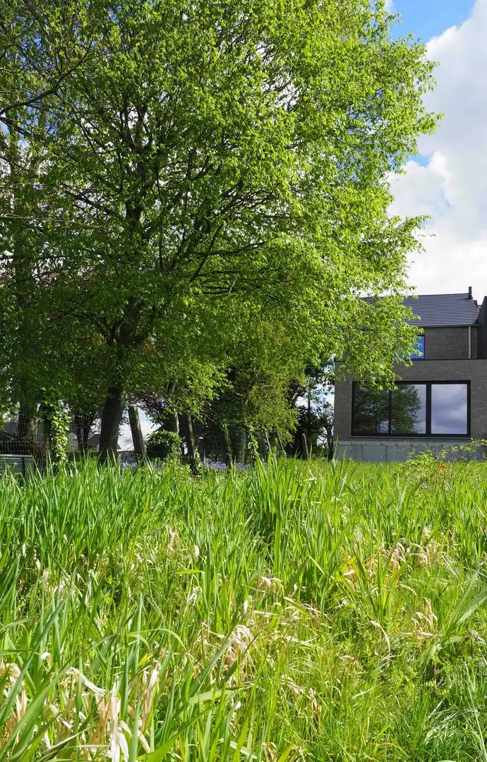 Unieke halfopen woning op een mooie ligging in de Klijtberg te Vichte met 3 kamers en gezellige tuin. foto 5