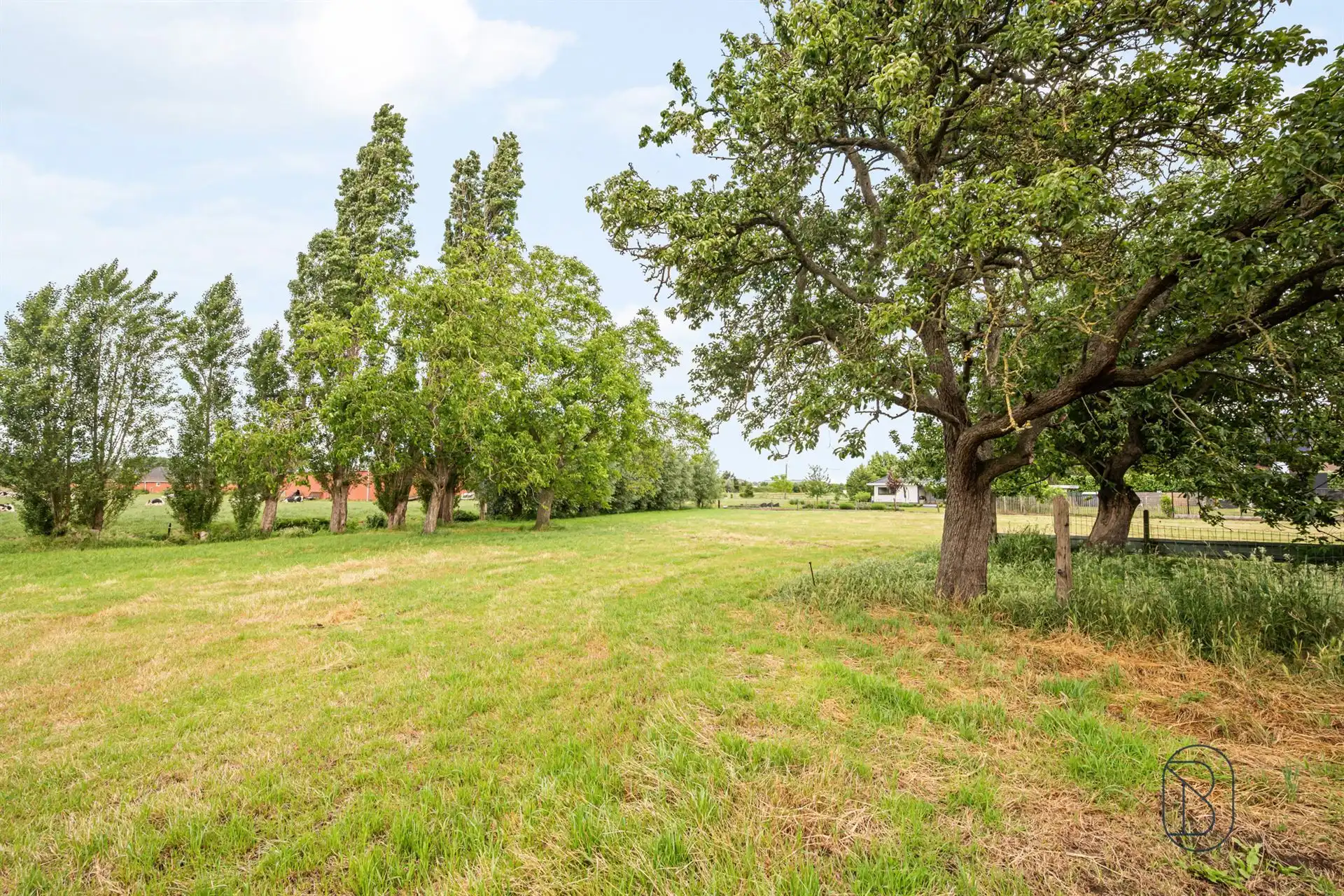 Prachtig gelegen af te breken woning op 5800m2 foto 2