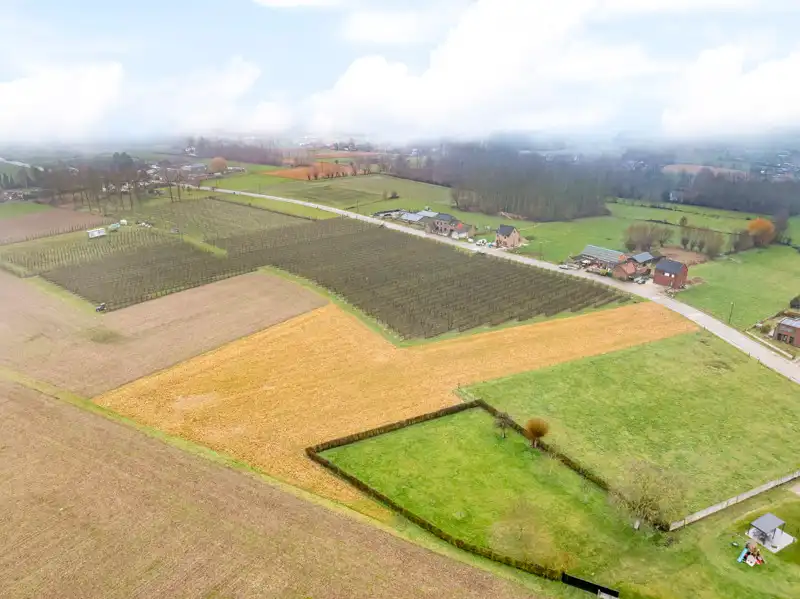 Landbouwgrond van 66are 76ca in Hoeleden foto 4