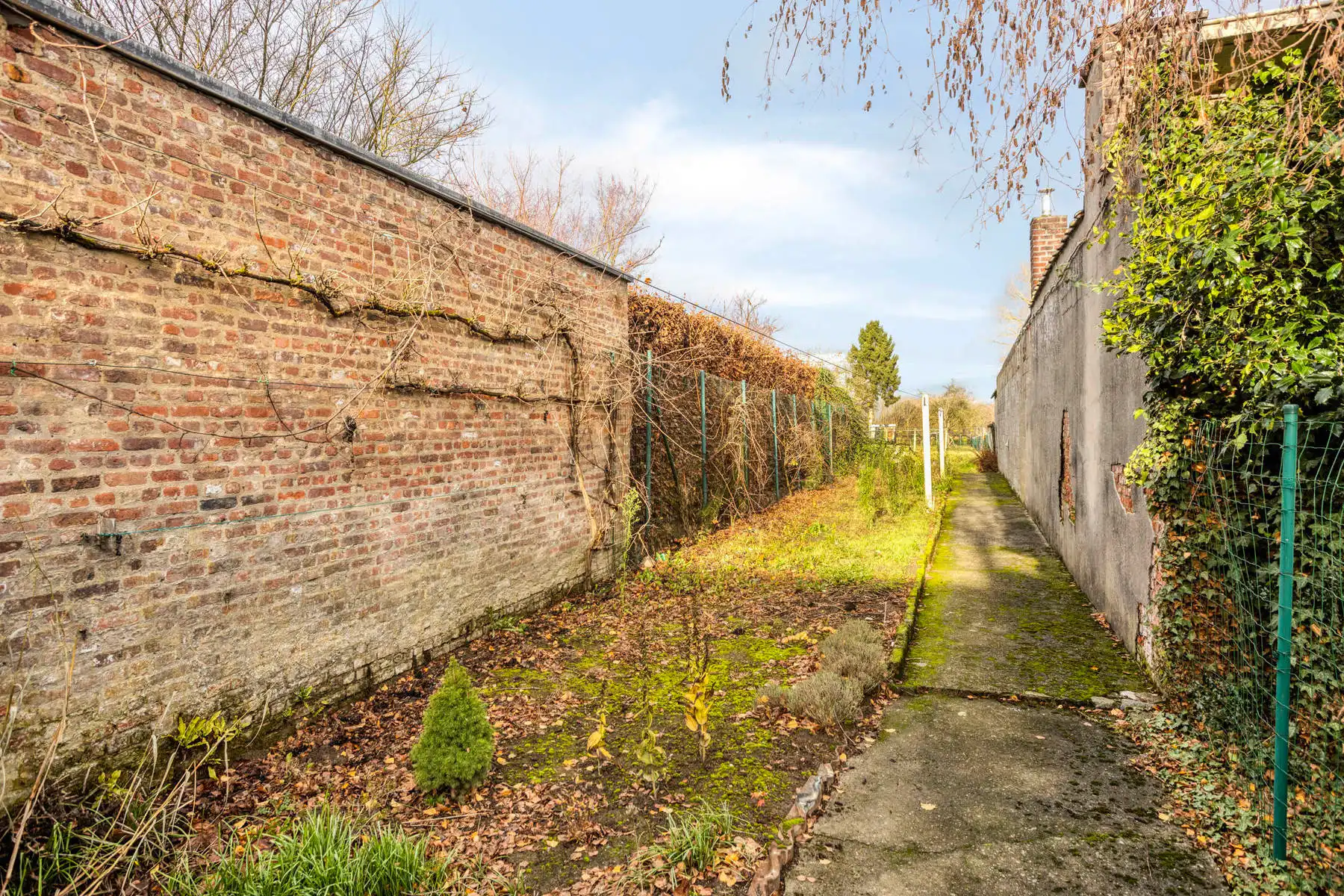 Landelijke driegevelwoning met garage en tuin foto 21