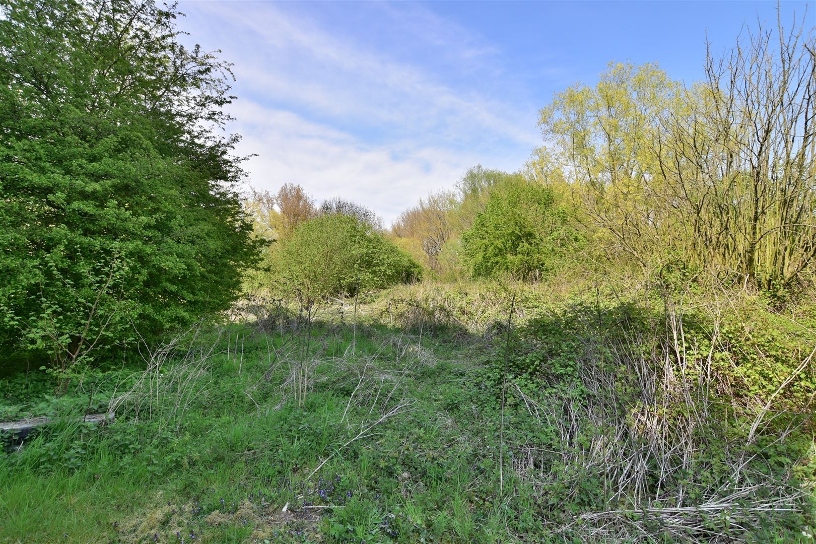 Het perceel is gelegen in de Molendreef te Geraardsbergen foto 21