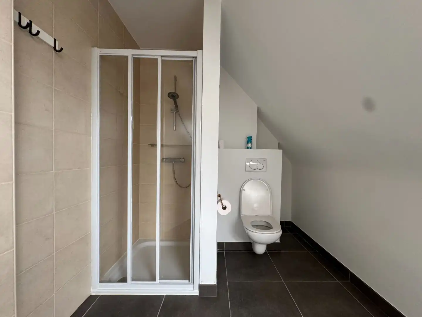 TE HUUR - Duplex appartement met 2slpk en terras foto 19