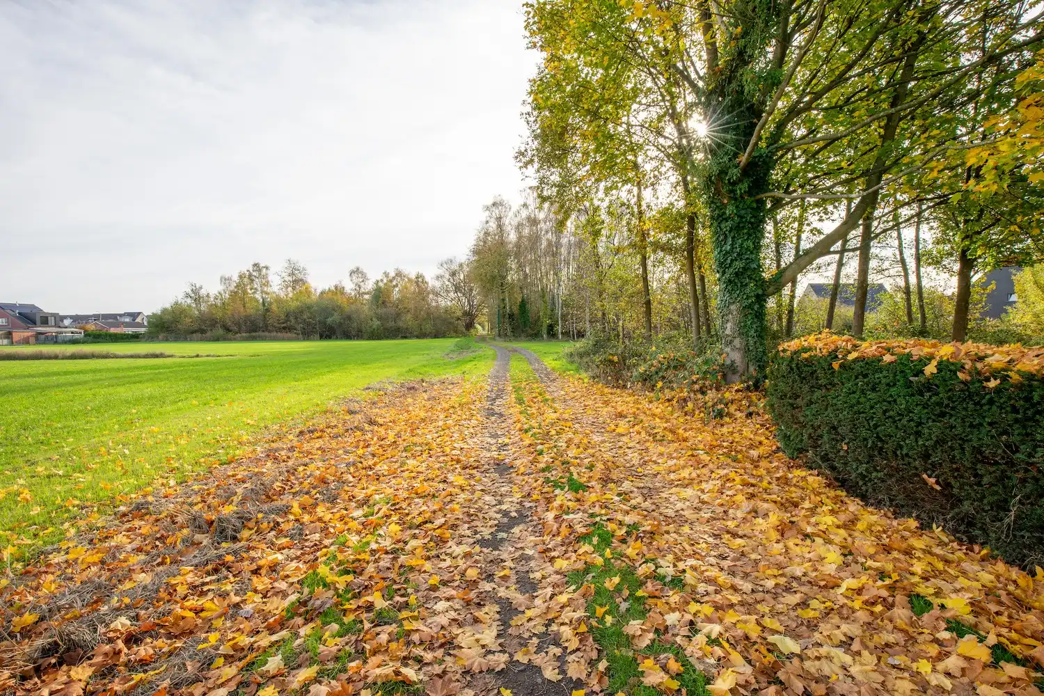 Rustig gelegen alleenstaande woning met westgerichte tuin en unieke bouwvergunning foto 3