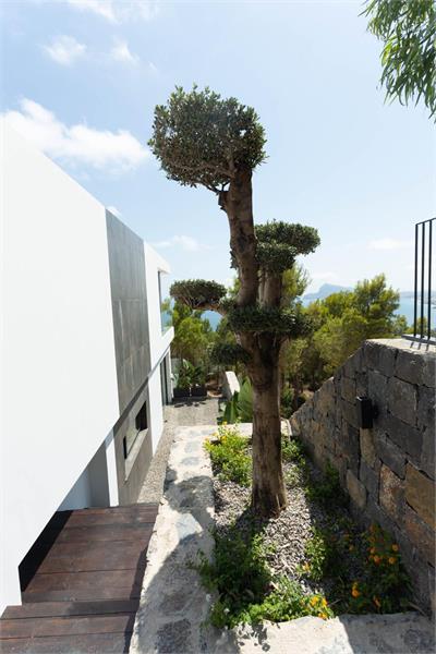 Nieuwbouw instapklare villa in ALtea Hills foto 7