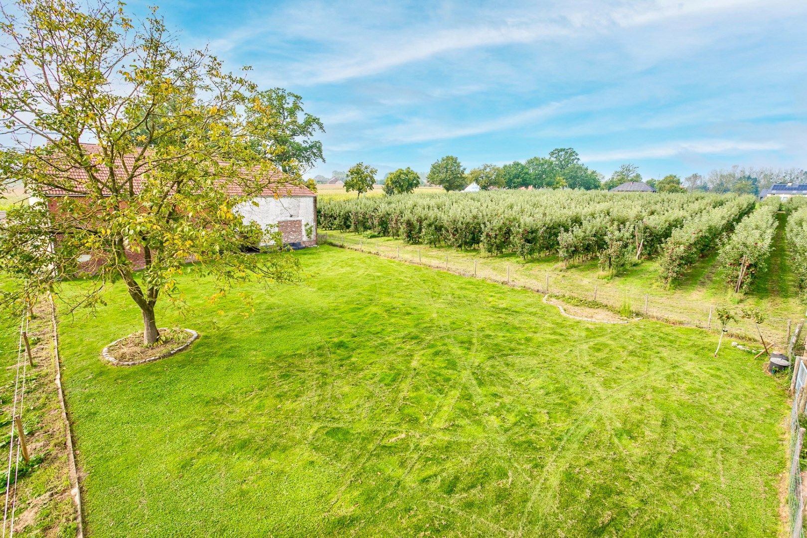 Instapklare hoeve op 1,1ha te Pepingen foto 29