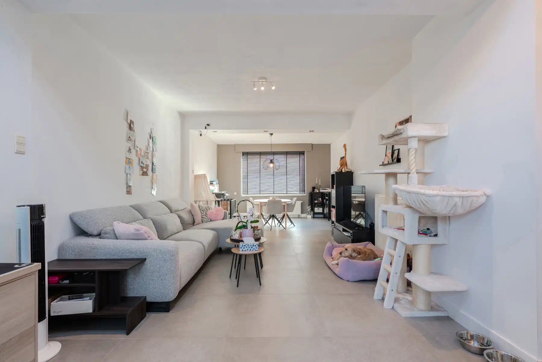 Trendy gezinswoning met vier kamers in Gistel. foto 6