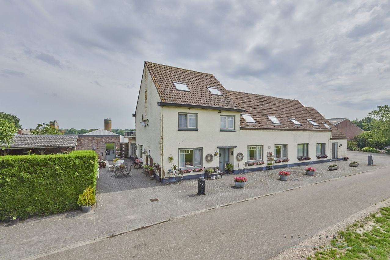 Hoeve met 2 woningen en stallen te koop te Hamont-Achel op 6,5 à 14 ha foto 8