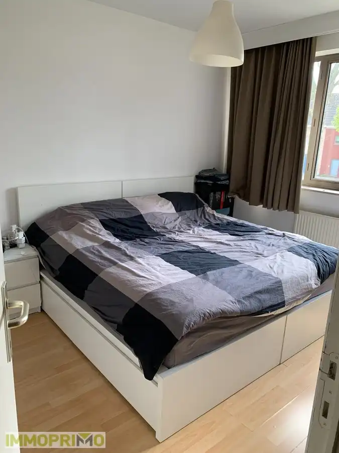 Ruime woning met 4 slaapkamers en garagebox in een woonerf te Mortsel foto 13