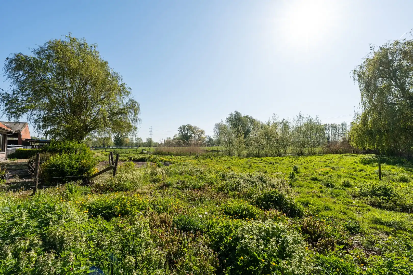 Authentieke hofstede op ca. 5,5 hectare – een oase van rust, groen en ruimte foto 15