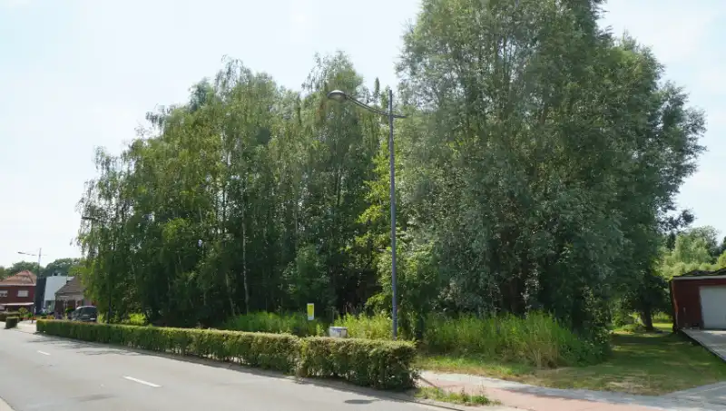Bouwgrond 8 are 50 ca voor open bebouwing vlakbij centrum en met mooi achterzicht op groene omgeving foto 4