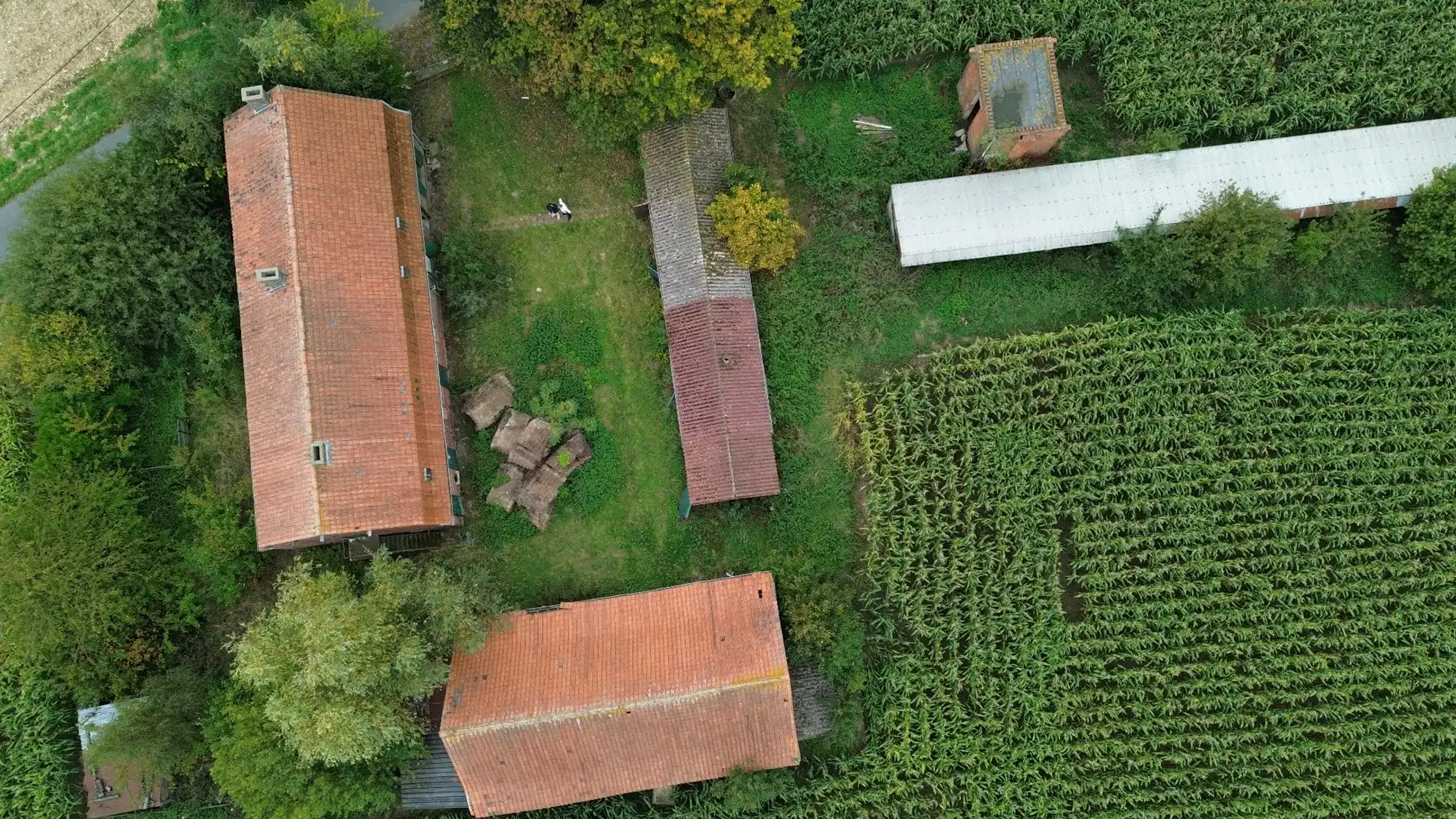  Unieke eigendom met uitzonderlijk potentieel – landelijke luxe op toplocatie foto 9