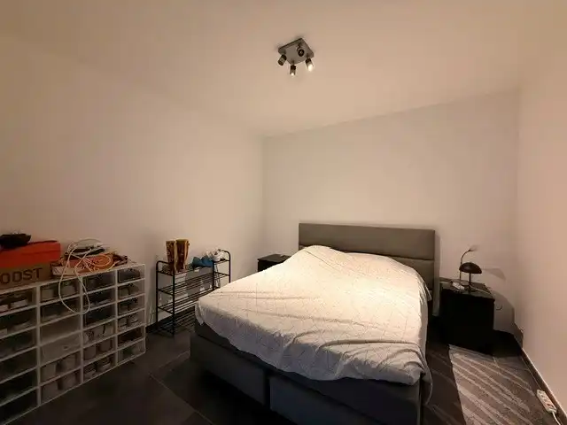 Recent, gelijkvloers appartement afgewerkt met hedendaagse materialen nabij Maaseik! foto 10