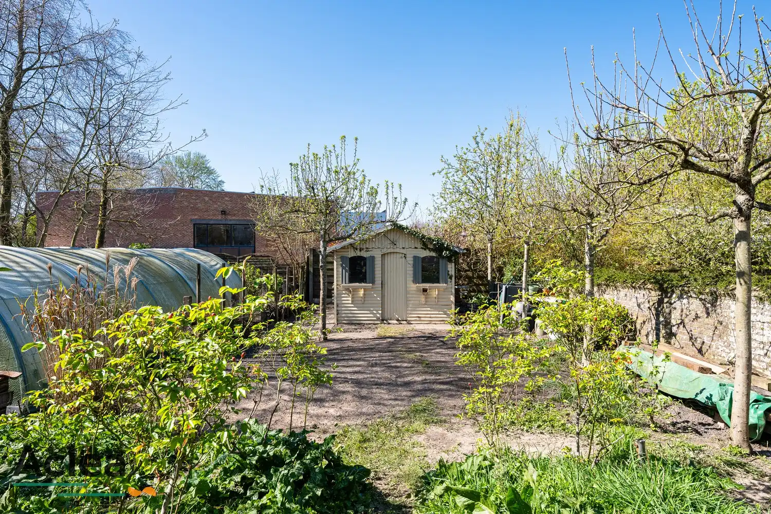 Karaktervolle burgerwoning in Watervliet foto 24