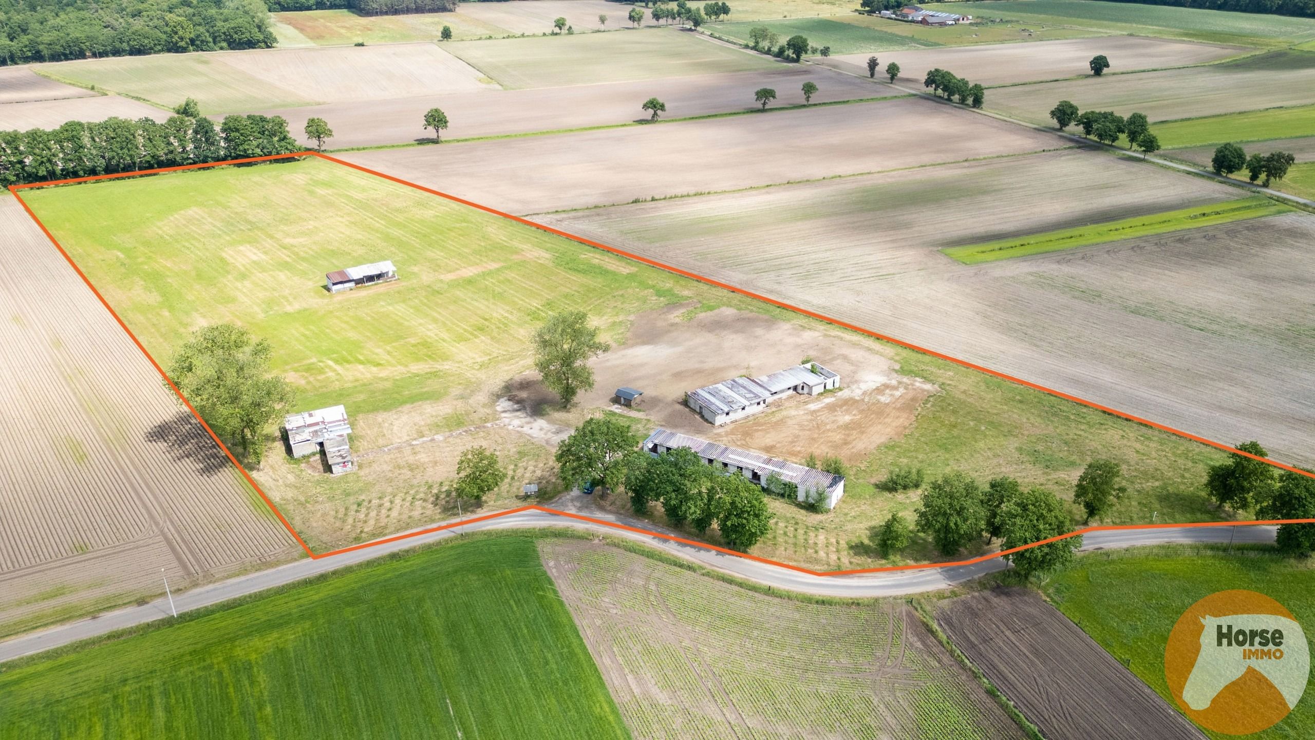 BOCHOLT - Weide met stalgebouwen op +/- 4ha35a foto 2