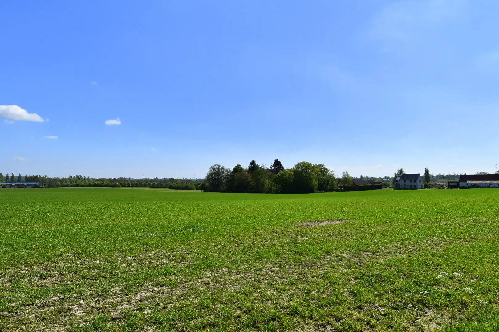 Charmant gelegen eigendom op een perceel van 2.390 m² te koop in het landelijke Rollegem foto 4