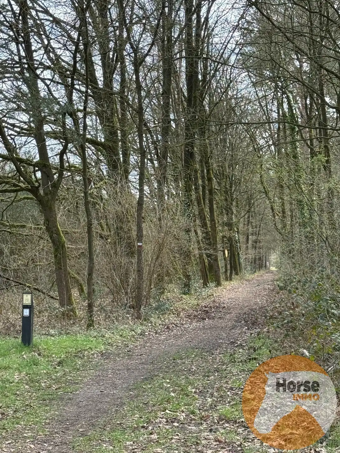 HELCHTEREN - Weiland met schuilstallen nabij ruiterpaden foto 9