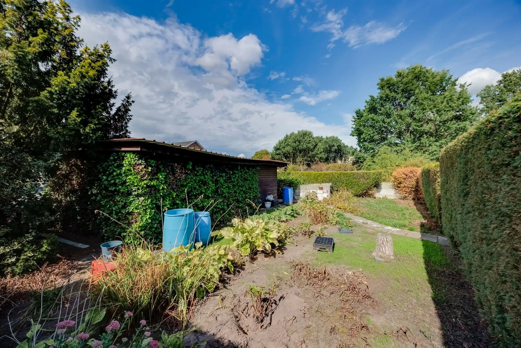 Ruime open bebouwing met 3 slaapkamers en veel potentieel foto 18