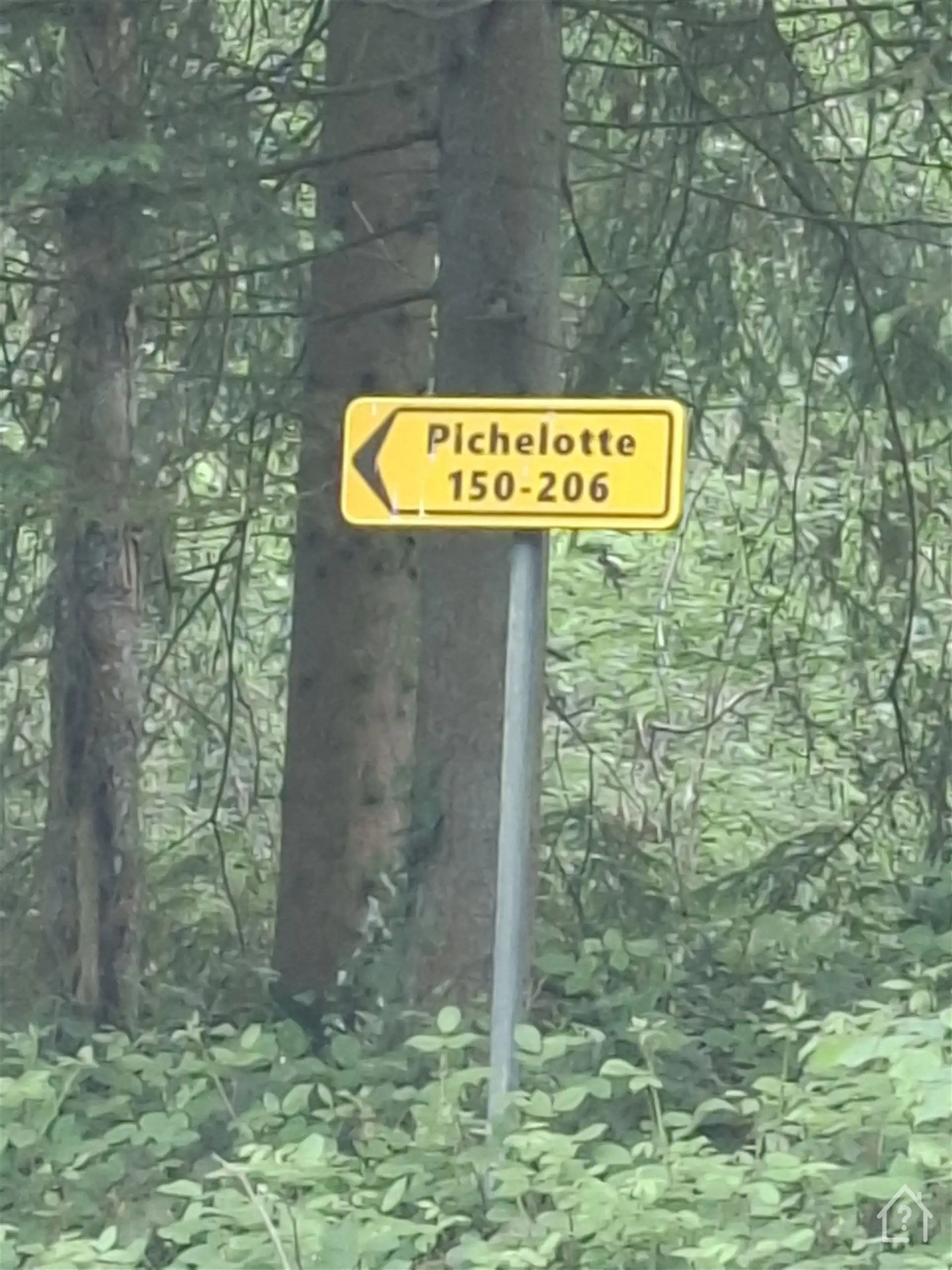 Recreatiegrond midden in het Groene Hart van de Ardennen foto 6