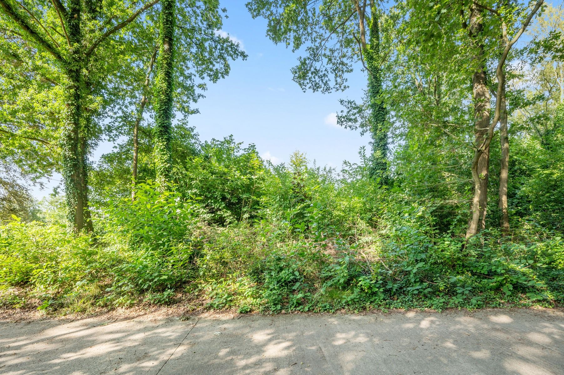 Residentiele bouwgrond 1.376 M2 te ROTSELAAR foto 4