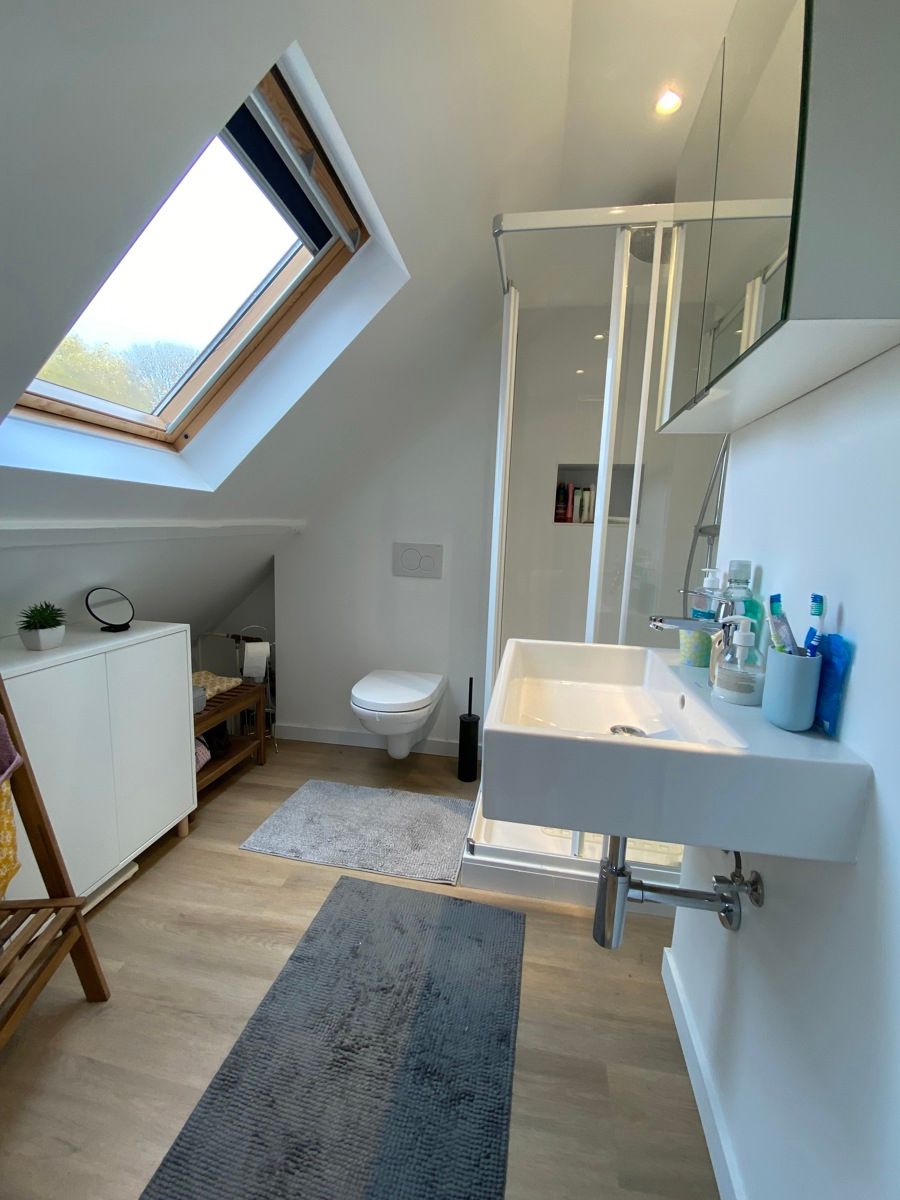 Opbrengsteigendom 2 appartementen en 2 commerciële ruimtes foto 7