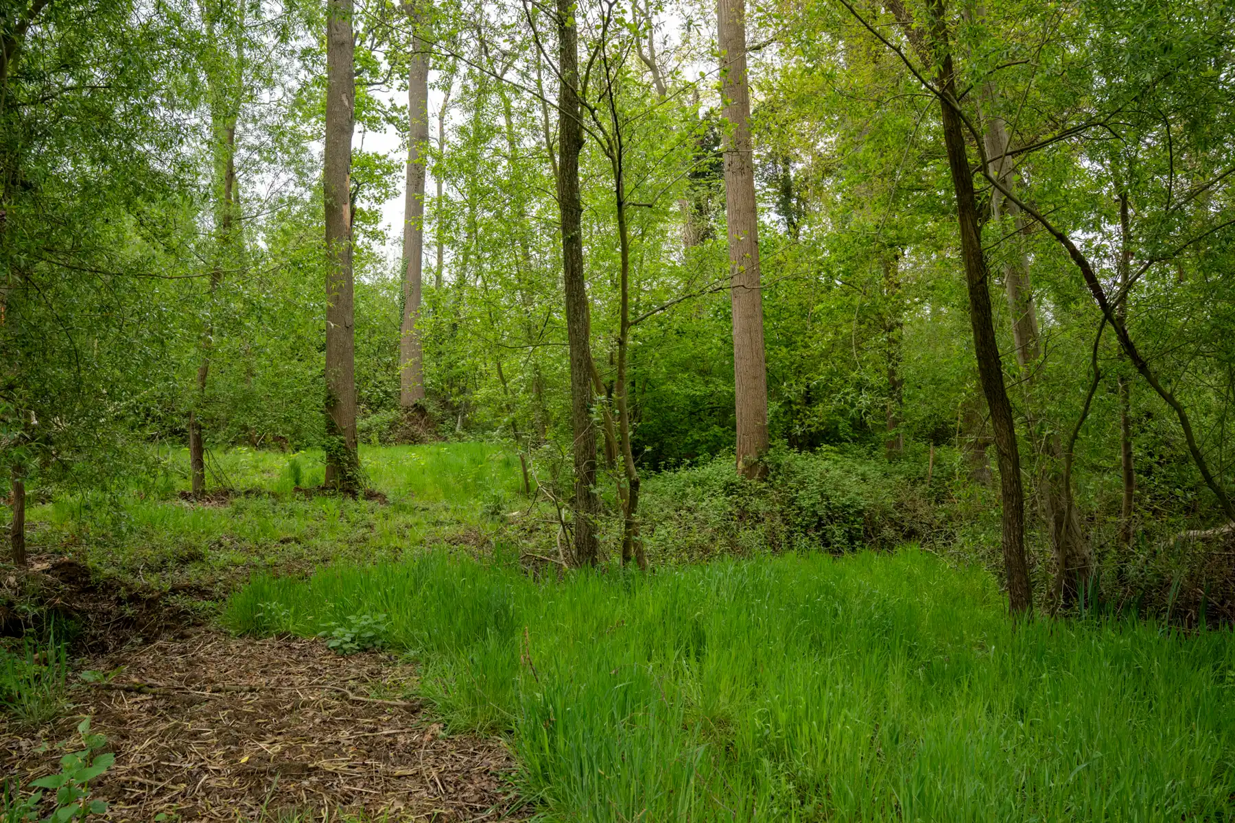 Grond te koop foto 7