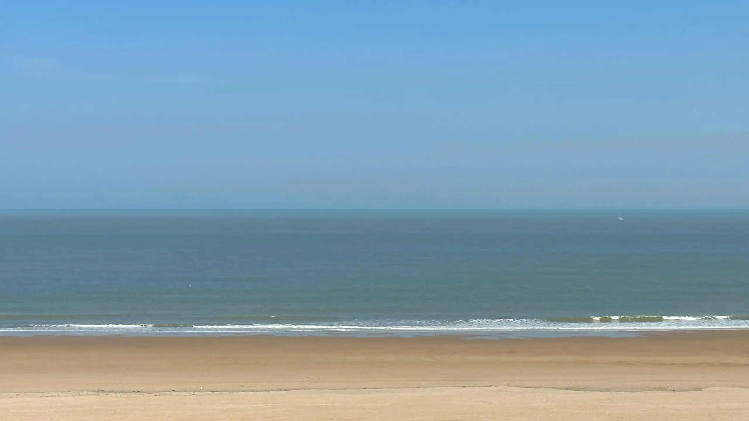 Ruim appartement op Zeedijk Zoute, aan het Albertplein foto 18