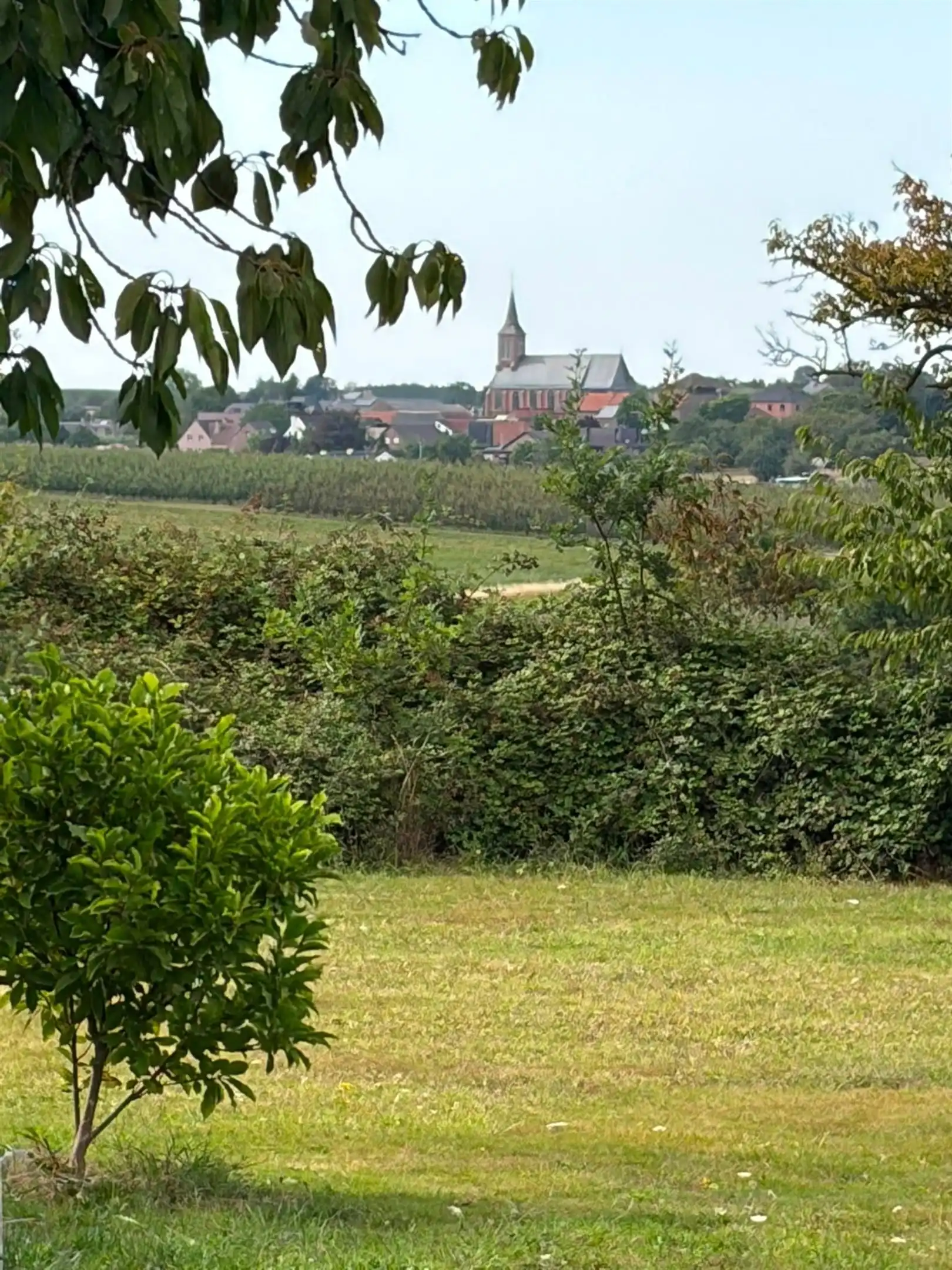 Karaktervolle hoeve met eindeloze mogelijkheden in het groen. foto 25