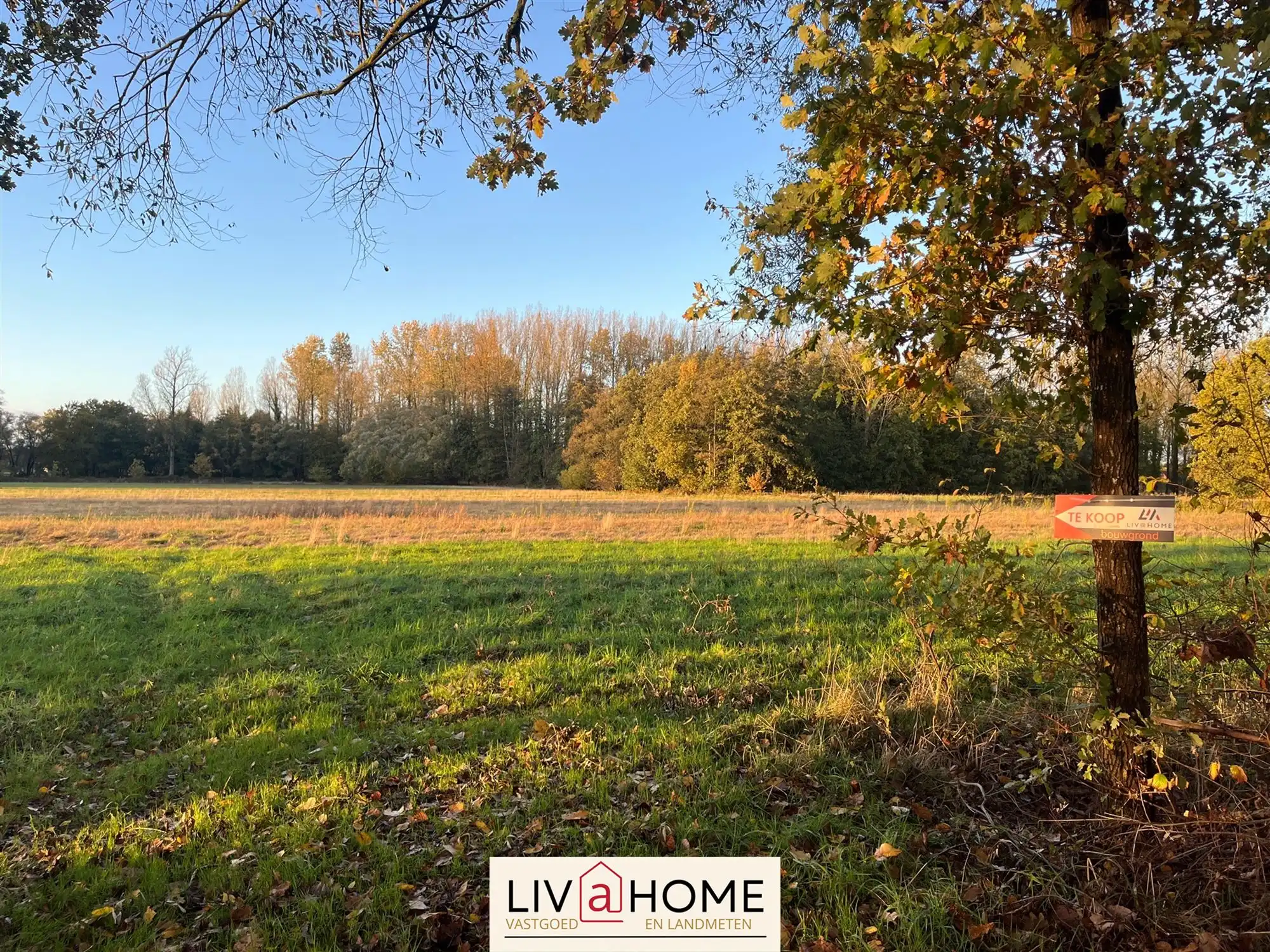 landbouwgrond - niet verpacht. foto 4