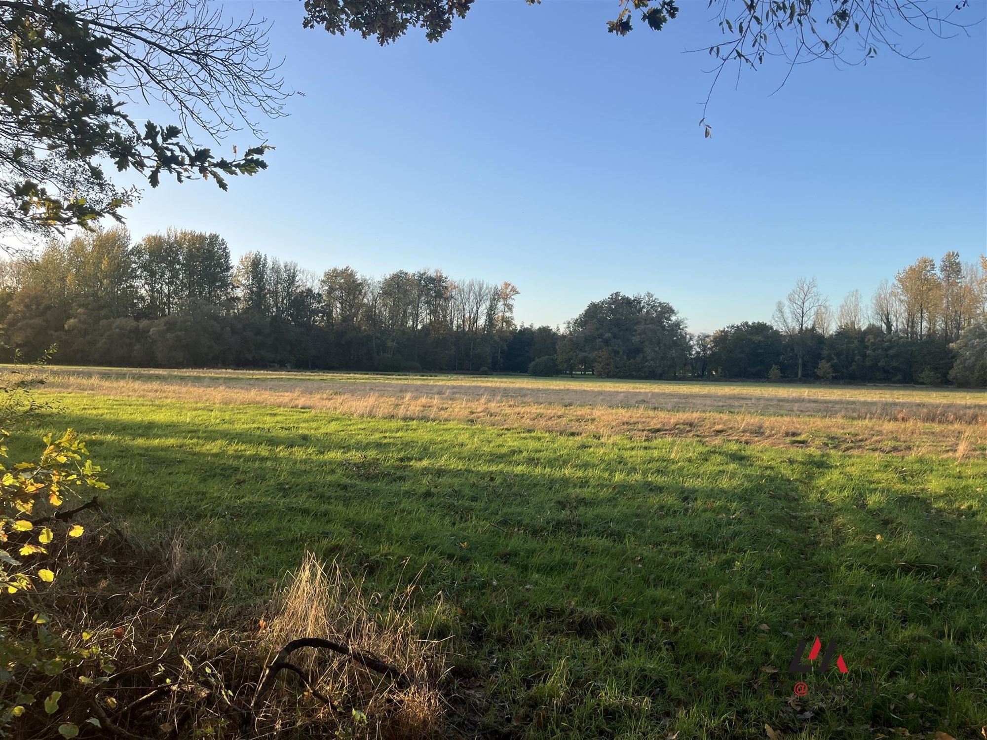 landbouwgrond - niet verpacht. foto 4