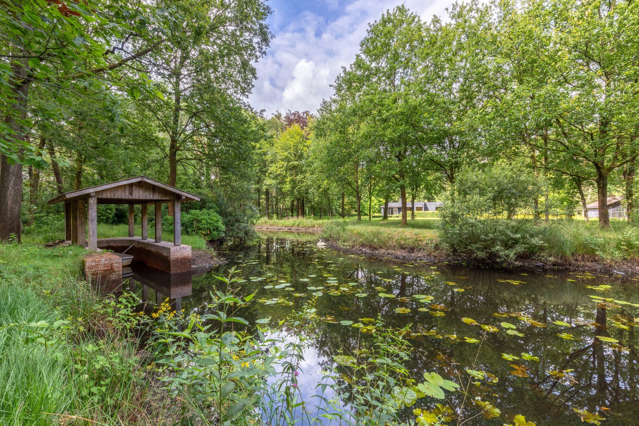 Uitzonderlijk domein met woonst op ca. 143.000 m² foto 1