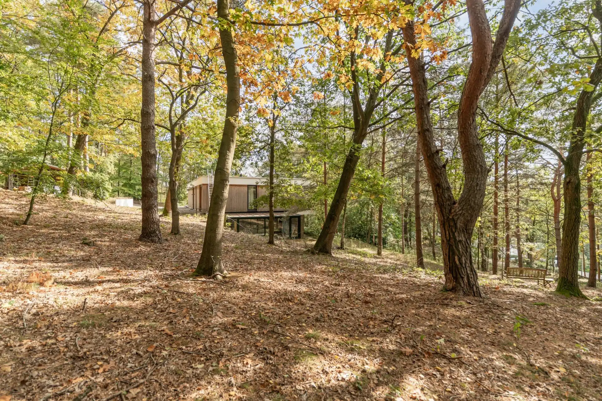 Exclusieve woning op bosrijk domein in Bolderberg foto 18
