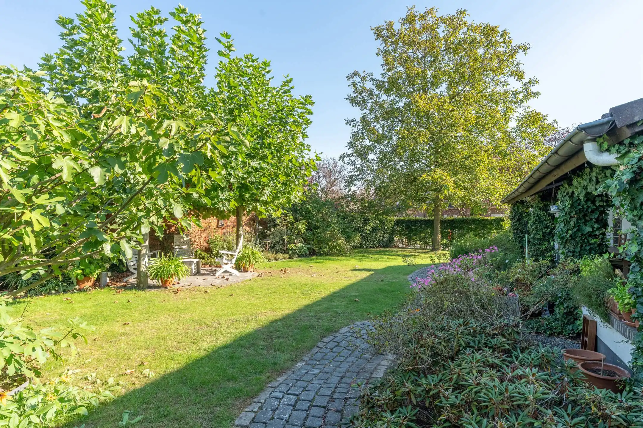 Gunstig gelegen laagbouwwoning met 3 slpks, tuin en garage. foto 30