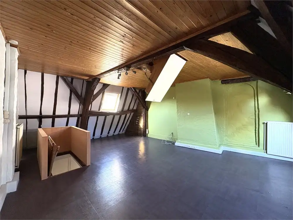 LICHTRIJKE WONING IN HET CENTRUM VAN BRUGGE foto 9