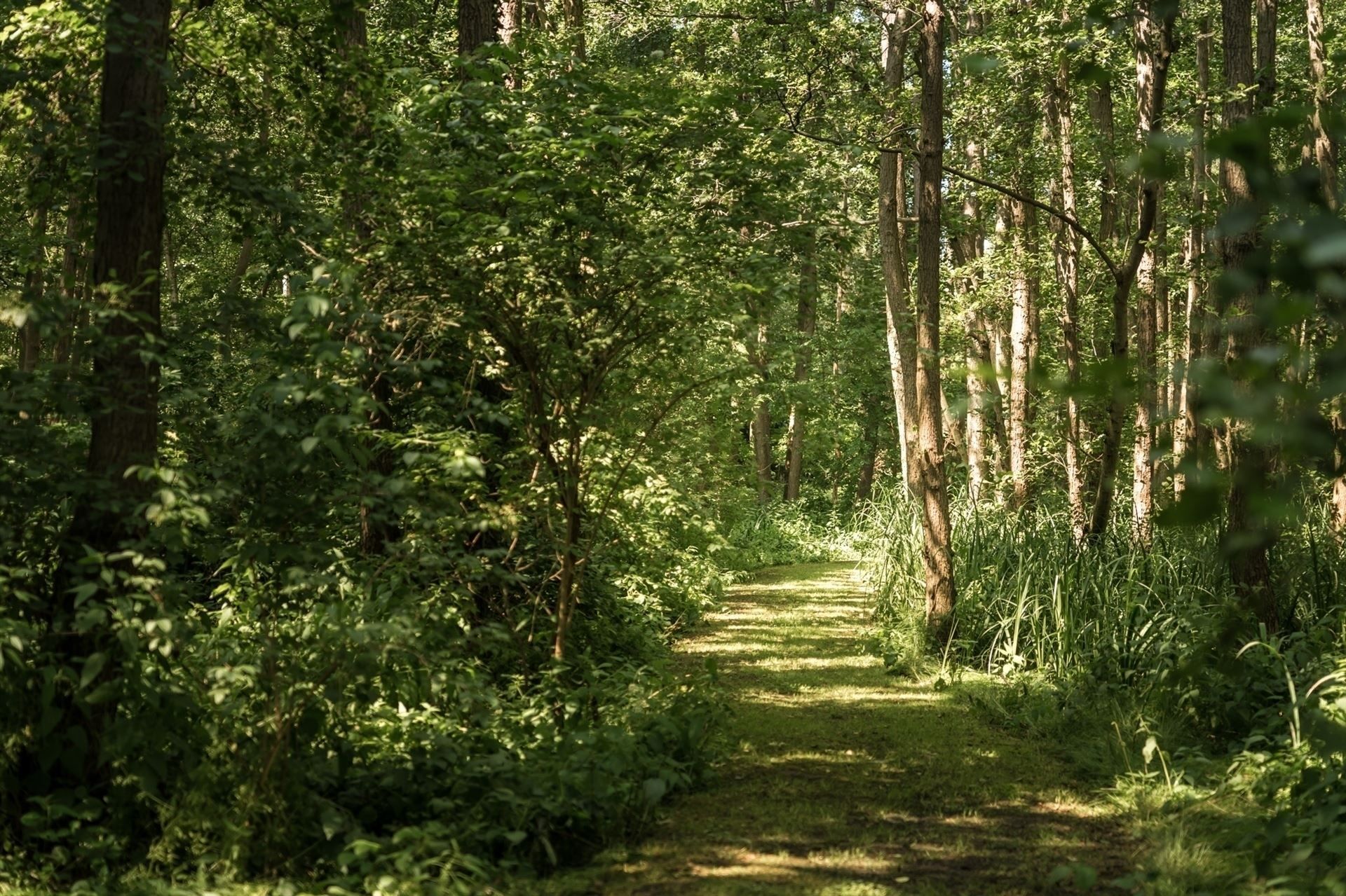 Prachtige langgevelhoeve op perceel van 1,4 hectare. foto 27