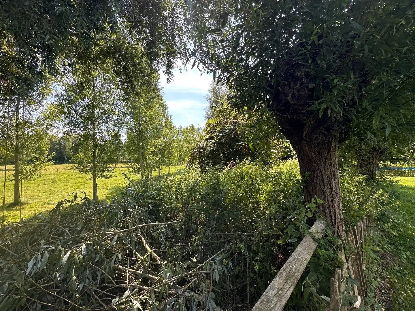 Unieke woning met werkplaats op toplocatie in Tongeren – industrieterrein Overhaam foto 34