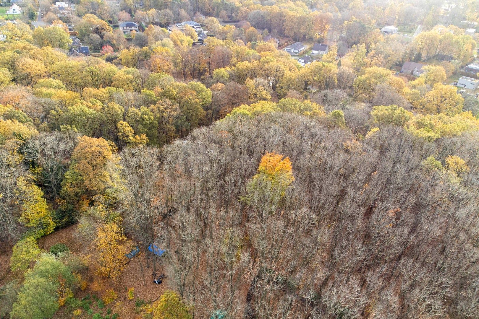 Prachtige bouwgrond van 22a 63ca te koop op een toplocatie in Hoog-Linden!  foto 9