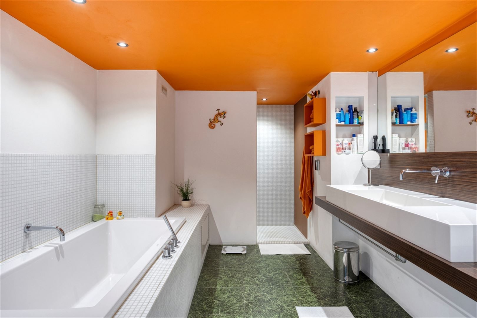 Instapklare loft in deelgemeente Leupegem foto 22