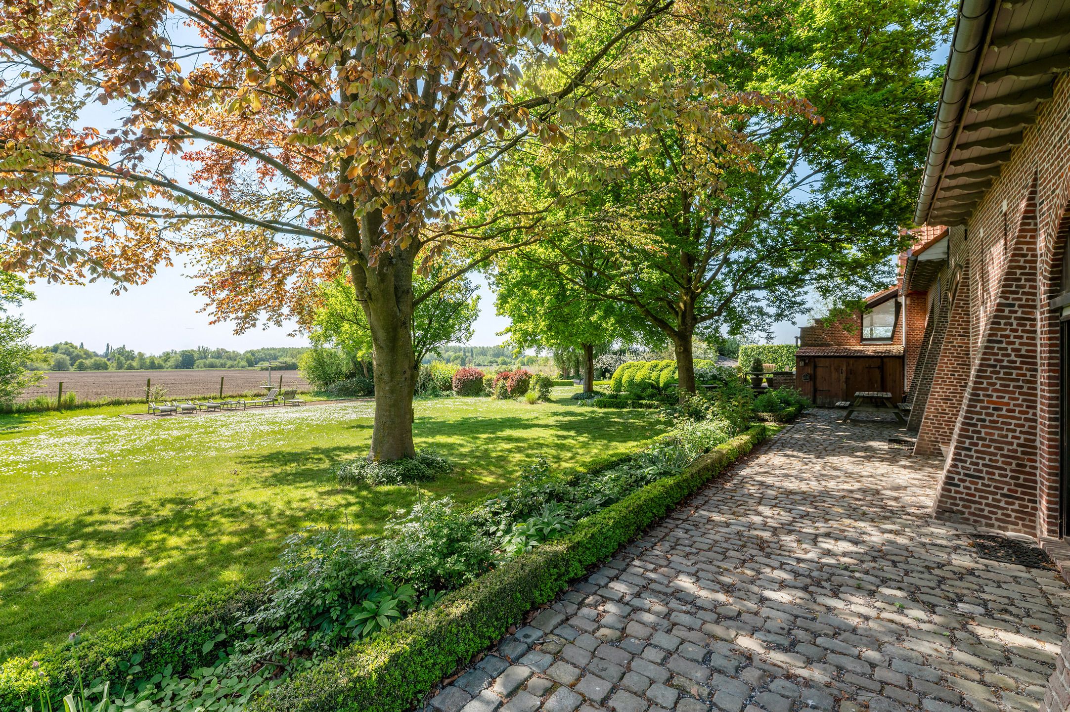 Karaktervolle hoeve met apart praktijkgedeelte, zwembad en prachtig uitzicht op weilanden op 2.642 m². foto 4