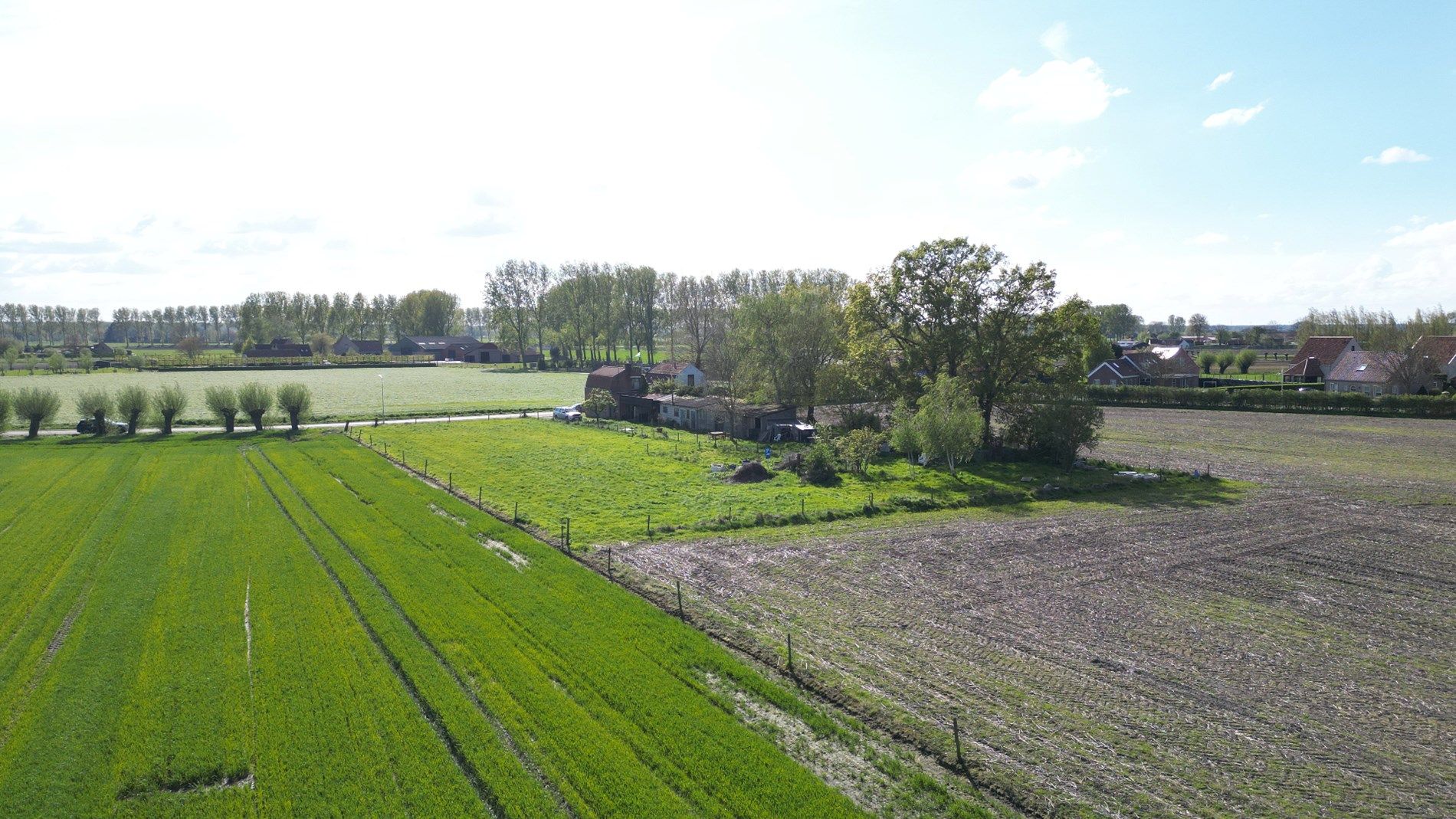 Te renoveren huis met een oninneembaar uitzicht over meer dan 2.2 ha velden en natuur! foto 9