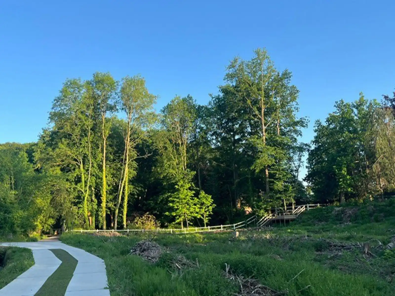 Rustig gelegen te renoveren en af te werken woning op 935m² foto 9