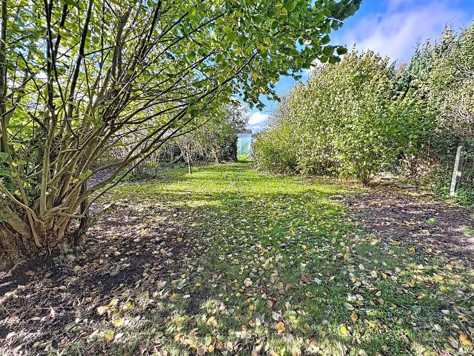 Charmante, energiezuinige woning met grote tuin nabij centrum Geraardsbergen foto 10