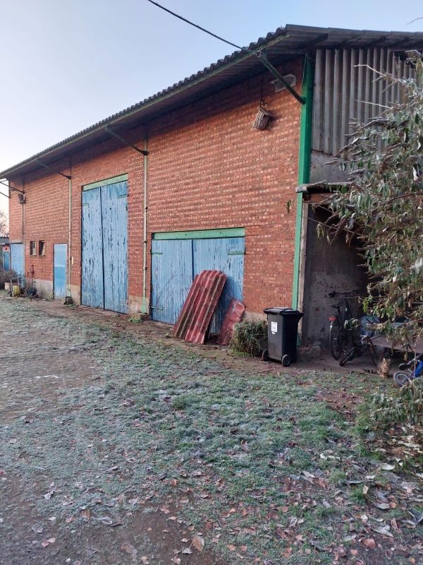 In dorpskern gelegen hoeve te koop te Hoevenen (Stabroek) foto 6