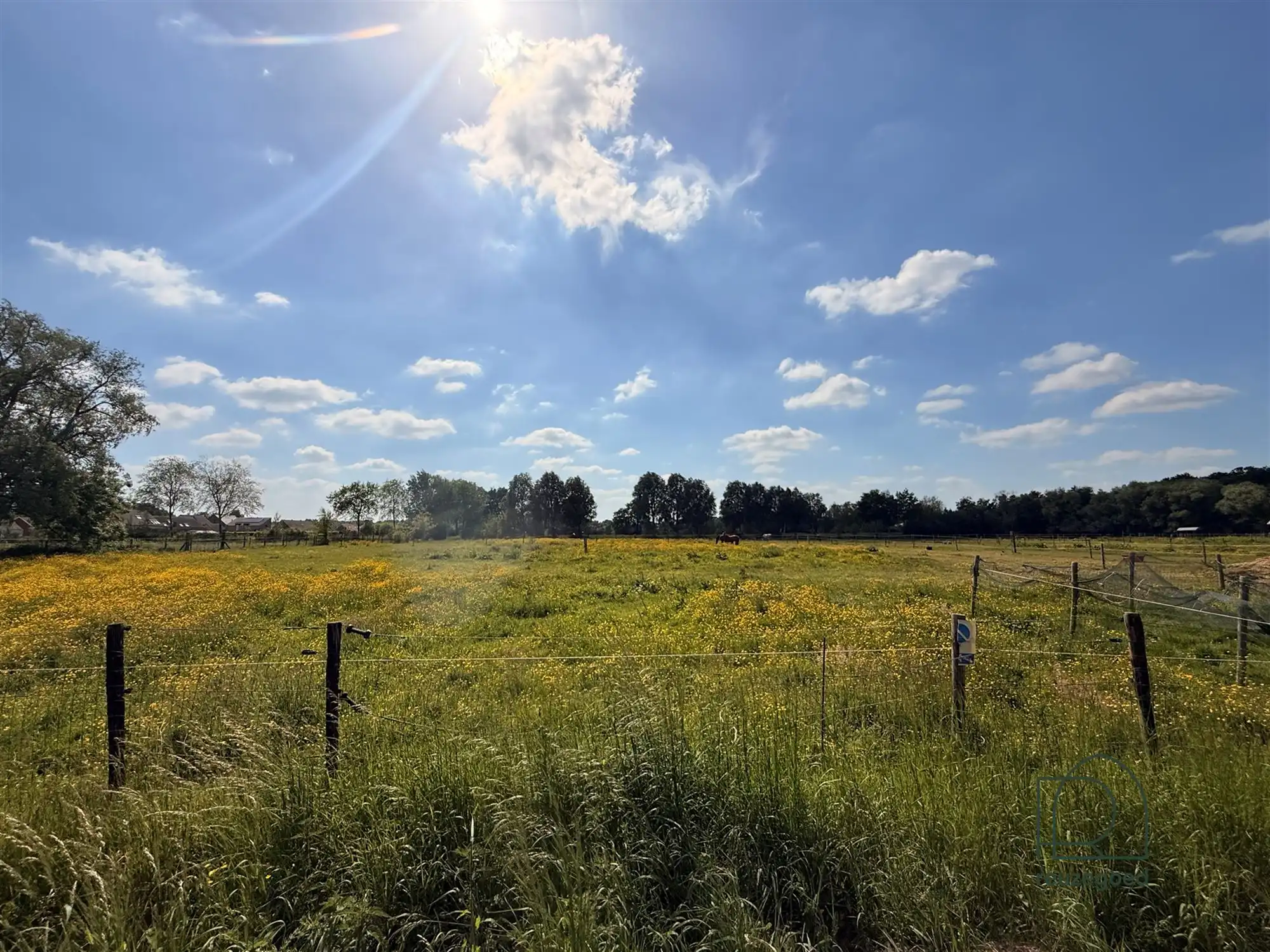 Landbouwgrond in Boortmeerbeek - paardenweide - 2,5 ha foto 7