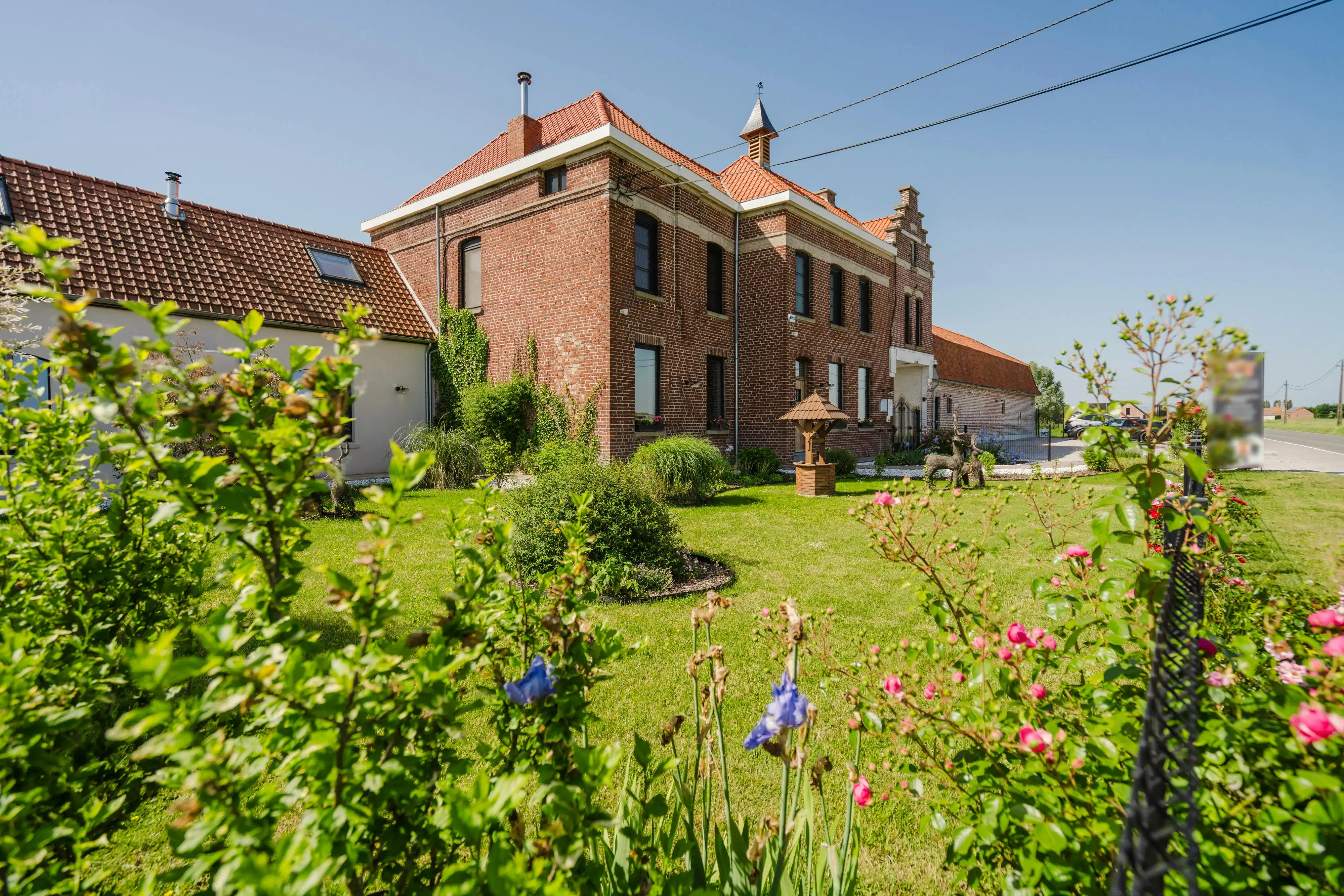 Hoofdfoto van de publicatie: Karaktervolle hoeve met open zicht op de Kemmelberg en tal van mogelijkheden op 7.425 m²