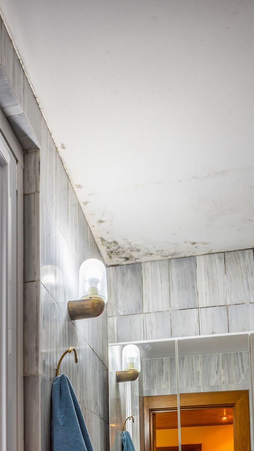 opbrengsteigendom bestaande uit 3 appartementen en 1 garage met oprit foto 32