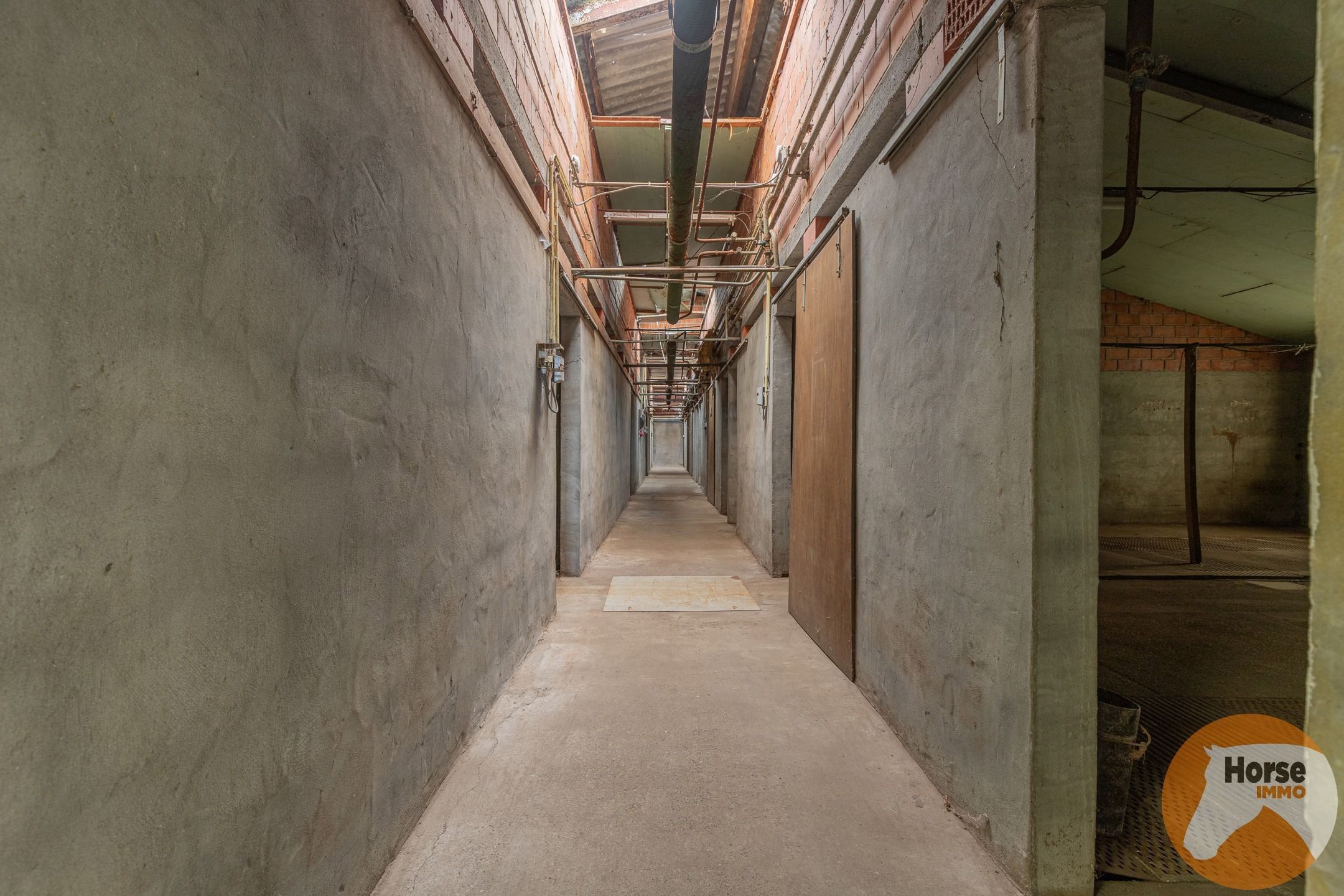 LOKEREN -Landelijk gelegen bedrijfswoning met stallencomplex foto 18
