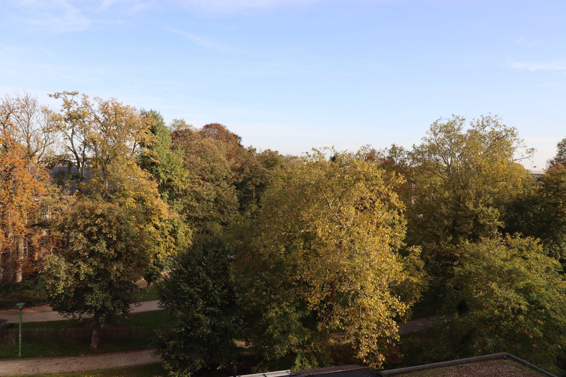 Ruim appartement met zicht op de binnendijle, park Botaniek en den toren! foto 5