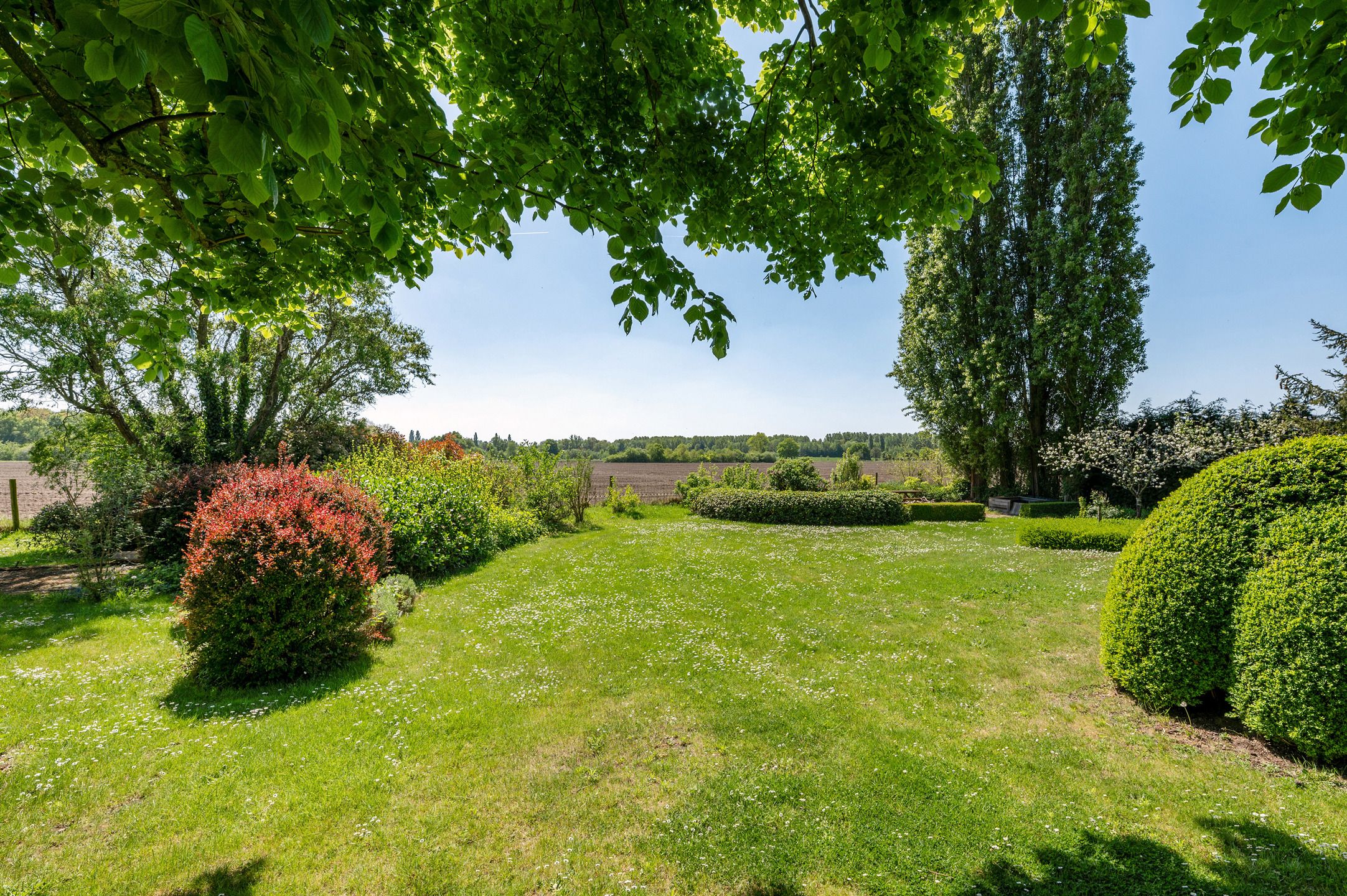 Karaktervolle hoeve met apart praktijkgedeelte, zwembad en prachtig uitzicht op weilanden op 2.642 m². foto 3